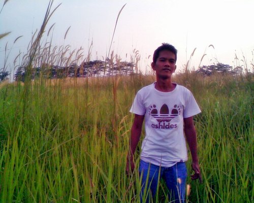 harisricarhd's profile picture. 