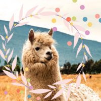 雨☔🇹🇭 (@amekichi0206) 's Twitter Profile Photo