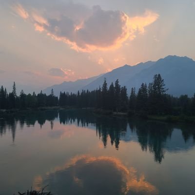 Luxsidhu's profile picture. 