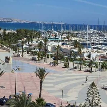 FahedSaoud's profile picture. 