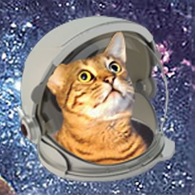 I_nefarian_I's profile picture. I play games