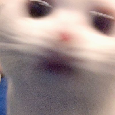 Lordexero's profile picture. Graphic Designer + Video Editor