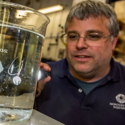 Senior Aquarist specializing in jellyfish and the deep sea at the Monterey Bay Aquarium