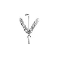 Into the Grain (@graininto) 's Twitter Profile