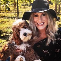 Kelly Meyer (@msmeyerteaches4) 's Twitter Profile