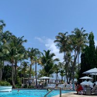 Barbara Li (@babsliggett) 's Twitter Profile