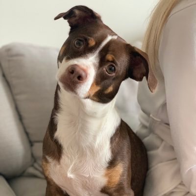 mb222832's profile picture. 🗝
