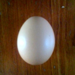 Fgunnink's profile picture. 