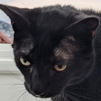 AirButBackwards's profile picture. soon dead