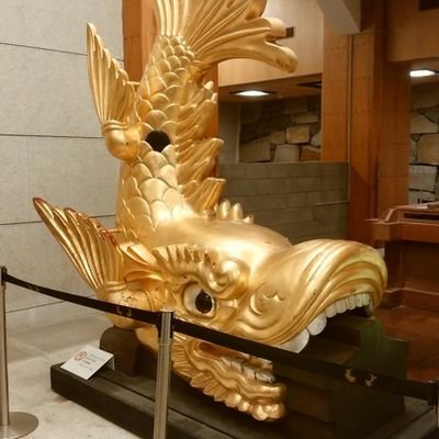 ssh5270's profile picture. 