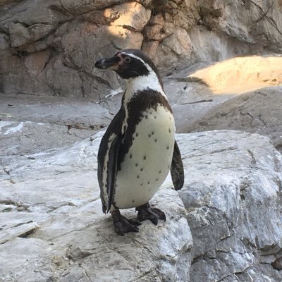 yukii5i's profile picture. 主に情報収集用♊️🆎ファッション&コスメ💄FPSゲーム🎮 音楽（ベース/ギター）🎸