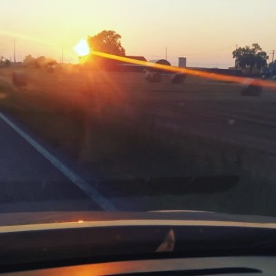 SempliceUomo's profile picture. 