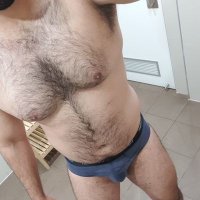 Bearssss (@sydasss) 's Twitter Profile