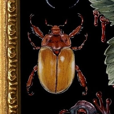 albinojrabbit's profile picture. Paintings & illustration