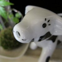 大谷(おおや)フロンティアマーケット (@oya_frontier_m) Twitter profile photo