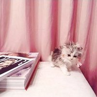 取引 (@16trhk_0) Twitter profile photo