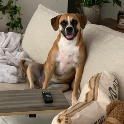 JohnNeukuckatz's profile picture. bud light drinker, University of Tennessee, Colts, Celts, White Sox