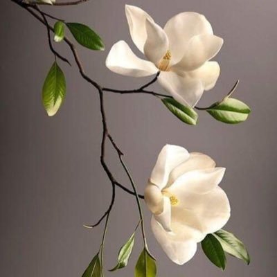 BeautyInImagery's profile picture. 🌿The Worlds Most Beautiful Images•~