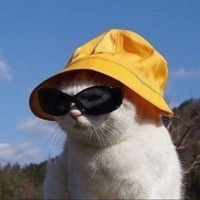 thevarietygurl's profile picture. fan of soup