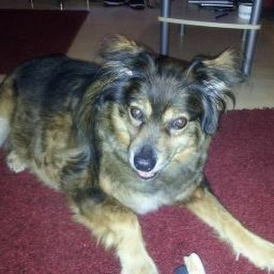 chrgla1976's profile picture. 