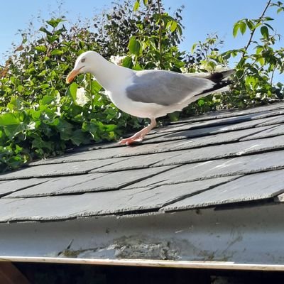 NickyDonnelly5's profile picture. 