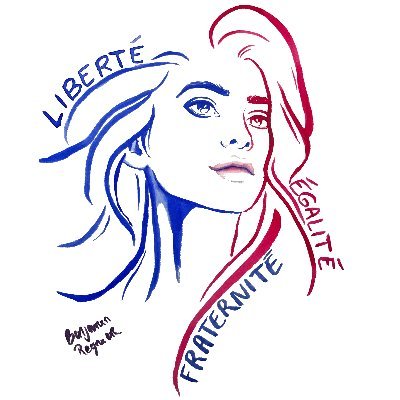 Citoyen__'s profile picture. Art 2 de la constitution “Gouvernement du peuple, par le peuple et POUR le peuple”.