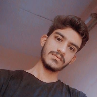 devvagh43735526's profile picture. 