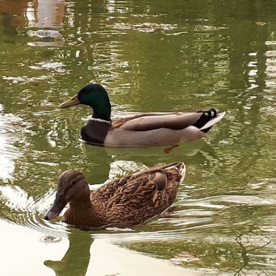 enitalo's profile picture. 