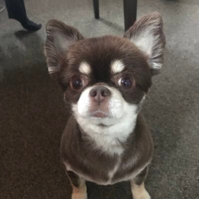 のりりんさんのプロフィール画像