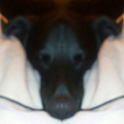 TyThoma63159255's profile picture. 