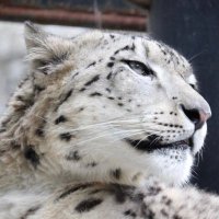 timespace0914 (@dongdongbaidong) 's Twitter Profile Photo