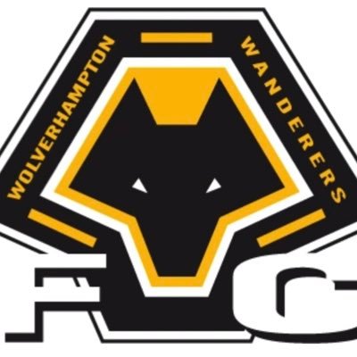 FOSUNOUT's profile picture. 