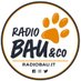 Radiobau (@radiobau) Twitter profile photo Radiobau (@radiobau) Twitter profile photo