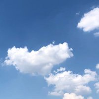 jeffrey (@jeffrey25476) 's Twitter Profile