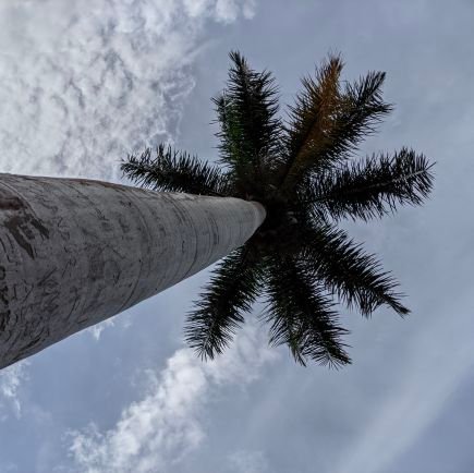 ShotonPocox3's profile picture. Investing little time on Photography 😍