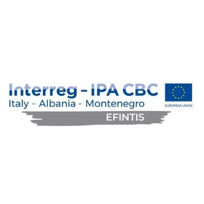 EFINTIS (Enhancing eFficiency of the INTermodal transport flows by Improved ict Systems)