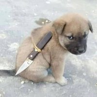 Chaukucha (@johnsonobina) 's Twitter Profile