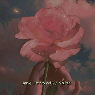 h1917944's profile picture. soochow