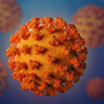 virology17's profile picture. Virology