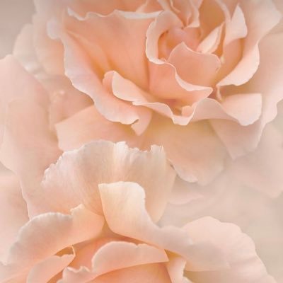 cee_zuna's profile picture. 