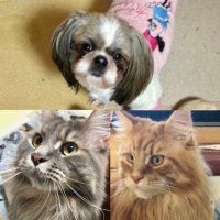 ポンポン🧸showcase当選😍 (@anywheresmile) 's Twitter Profile Photo ポンポン🧸showcase当選😍 (@anywheresmile) 's Twitter Profile Photo
