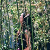 Janet (@janet95brown) 's Twitter Profile