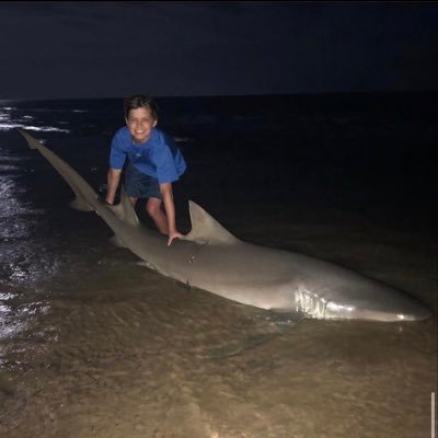 KieselWill's profile picture. 