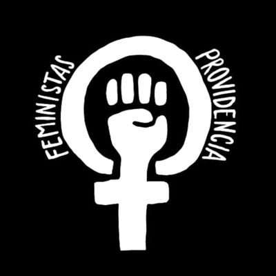 Feministas Providencia