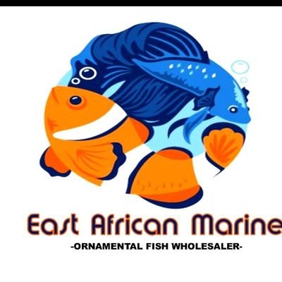 Wholesalers and exporters of aquarium marine fish,marine ornaments,lobsters,crustaceans, rays, soft corals, coral stones. Delivers worldwide.