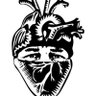 TahmeedAhnaf's profile picture. MBBS