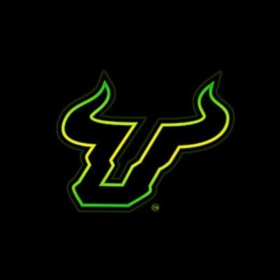 Official recruiting account for the 2021 AAC Tournament Champs🏆 University of South Florida baseball program. #follow👉 @USFBaseball 🏝8️⃣1️⃣3️⃣ #champaBay