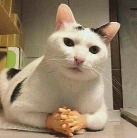 marc10636's profile picture. 