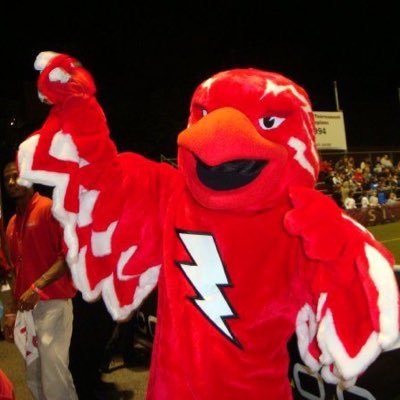 StormNFLPicks's profile picture. Weekly NFL picks in 10 minutes or less! #NFLPicks #NFLBets #SportsPicks #NFLTwitter