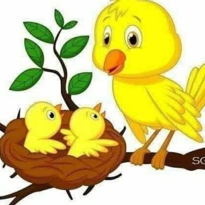 laltlanmawii_r's profile picture. 